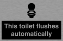 this-toilet-flushes-automatically~